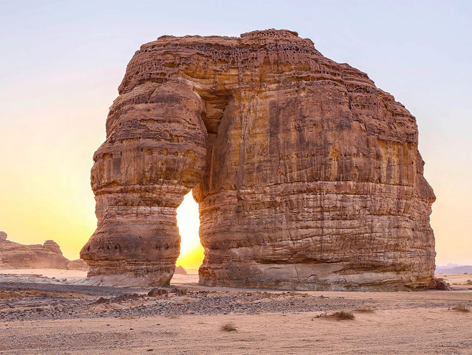 دعم القطاع الاقتصادي والسياحي وإثراء تجربة الزائر